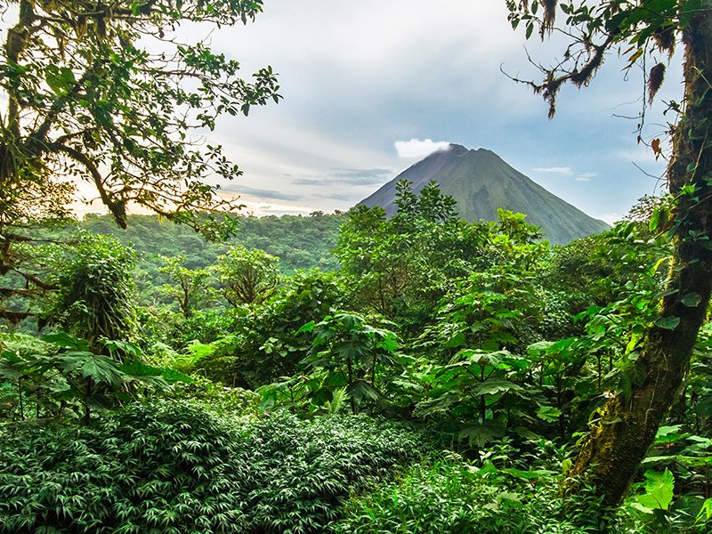 Volcan Arenal rises out of the jungle and dominates the landscap