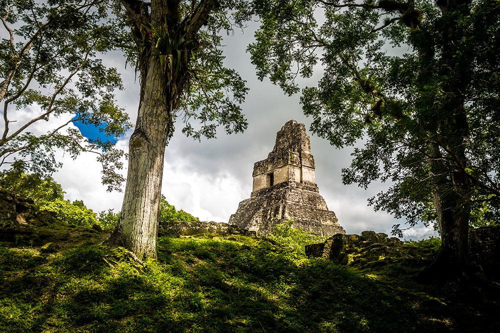 Top of mayan Temple I (Gran Jaguar) at Tikal National Park -Guat