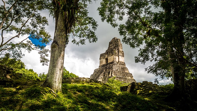 Top of mayan Temple I (Gran Jaguar) at Tikal National Park -Guat